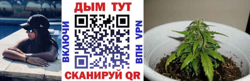 Магазины продажи наркотиков Жердевка НБОМе Каннабис Метамфетамин ГАШ Меф мяу мяу Псилоцибиновые грибы