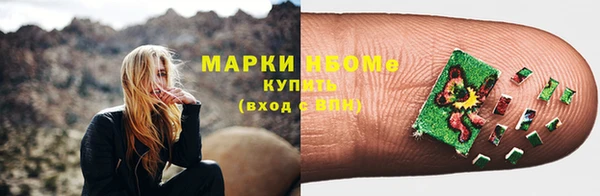 гидра Гусь-Хрустальный