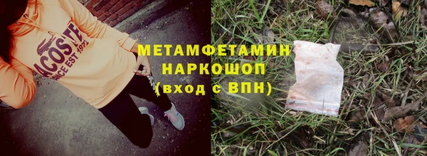 гидра Гусь-Хрустальный