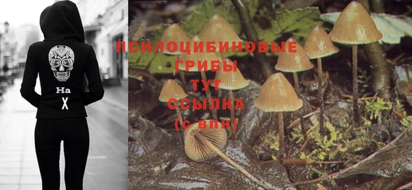 гидра Гусь-Хрустальный