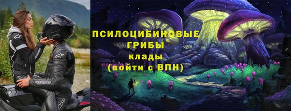 гидра Гусь-Хрустальный