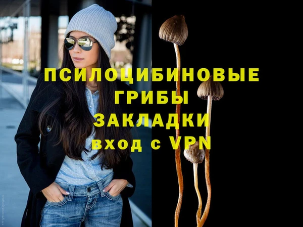 СК Гусев