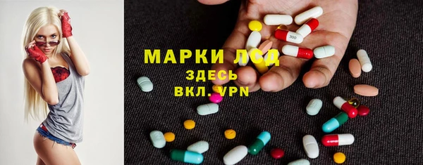 гидра Гусь-Хрустальный