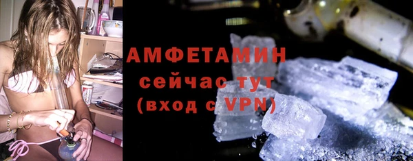 гидра Гусь-Хрустальный