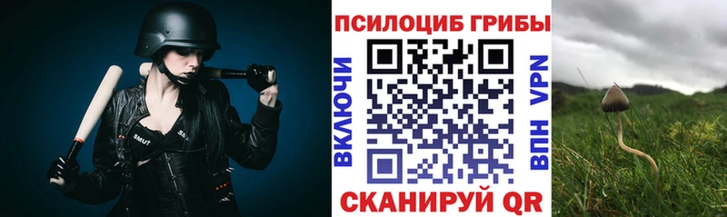 Псилоцибиновые грибы Magic Shrooms  Жердевка 